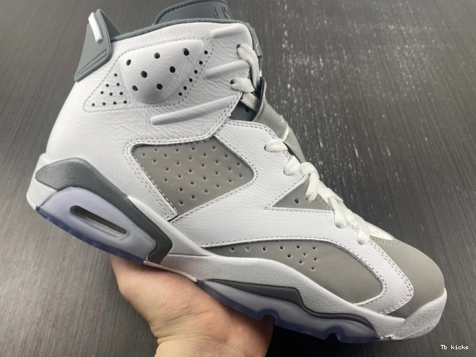 Reps TBK Air Jordan Grey CT8529-100 6 Cool 0706